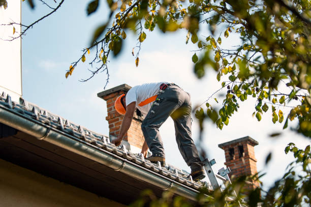 Best Tile Roofing Contractor  in Ferndale, CA