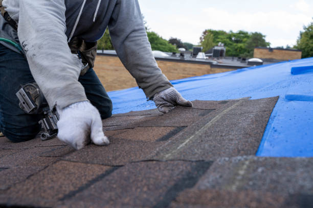 Best Flat Roof Repair Services  in Ferndale, CA