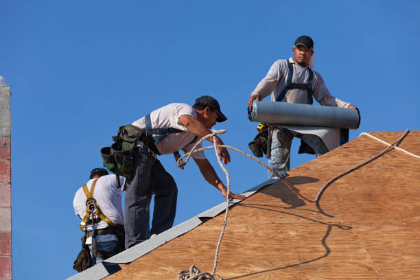 Professional Roofing Contractor in Ferndale, CA