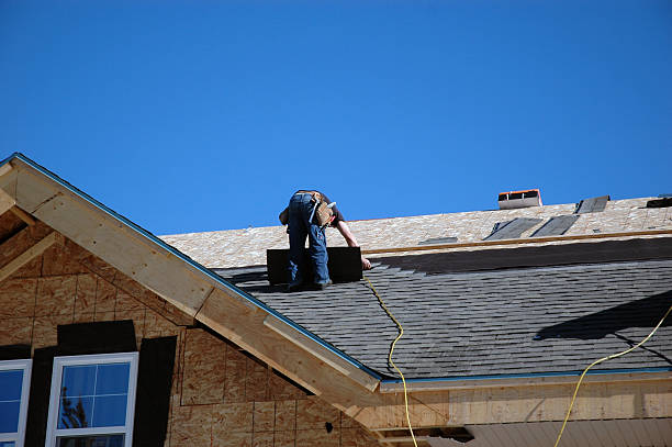 Best Roof Gutter Cleaning  in Ferndale, CA