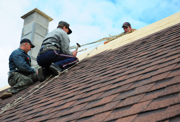 Roof Repair Estimates in Ferndale, CA